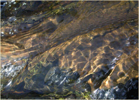 краски воды