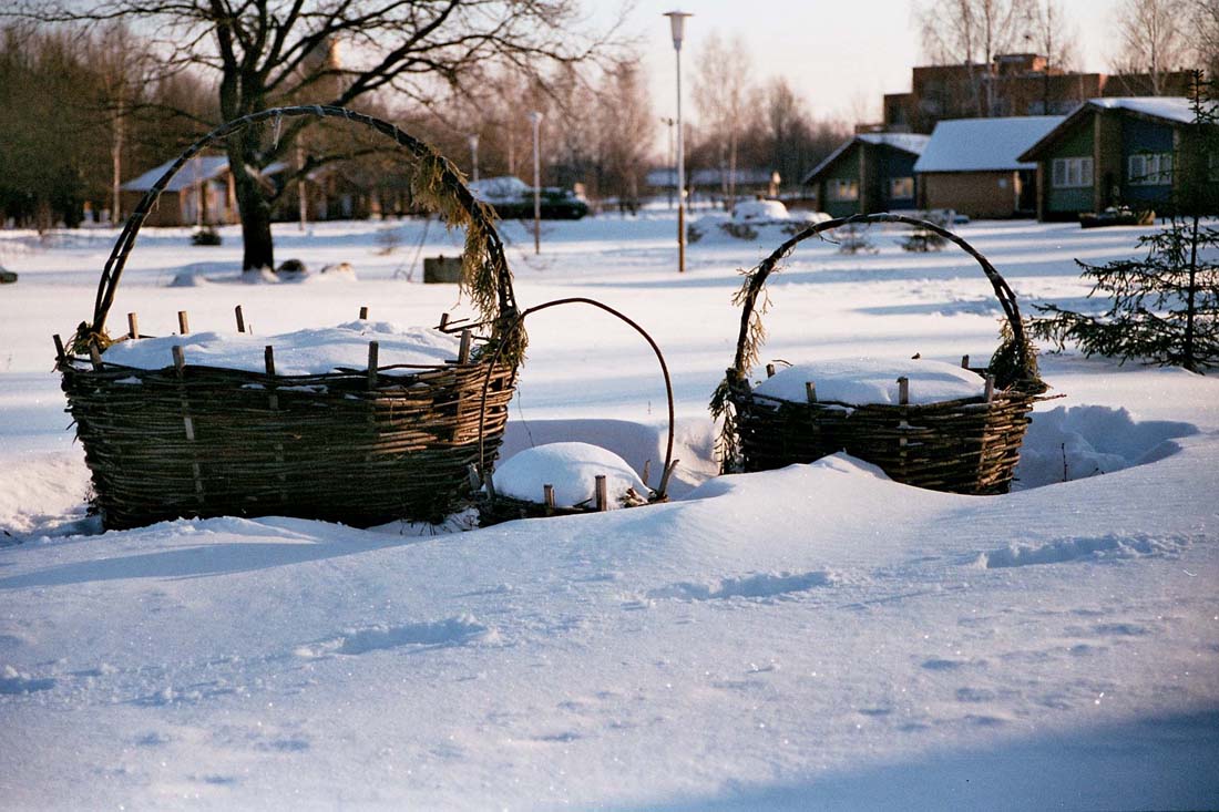 Папа, мама и я