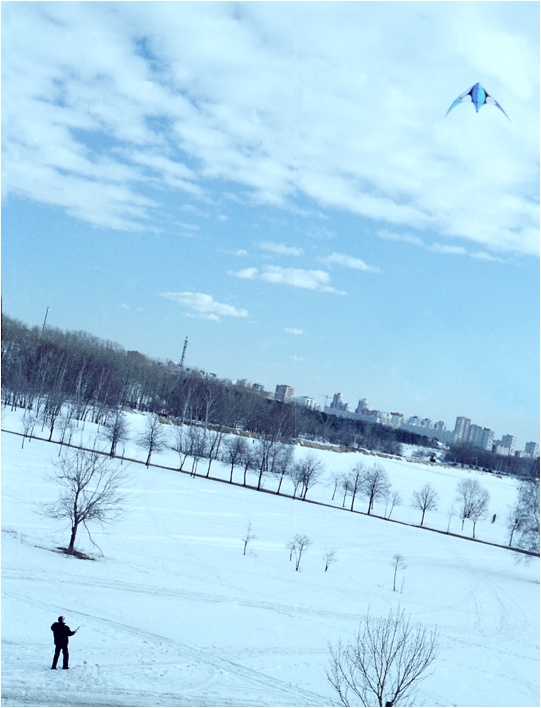 Синяя птица