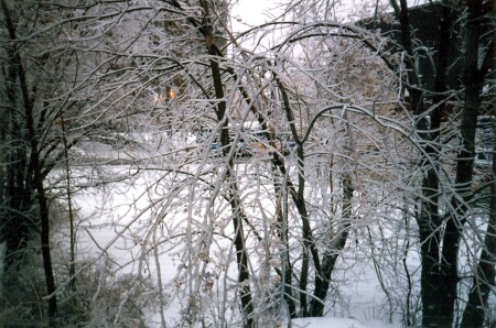 Ледниковый период