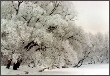 Зимняя сказка