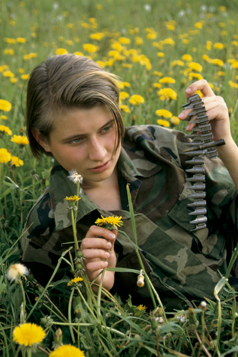 Dandelion