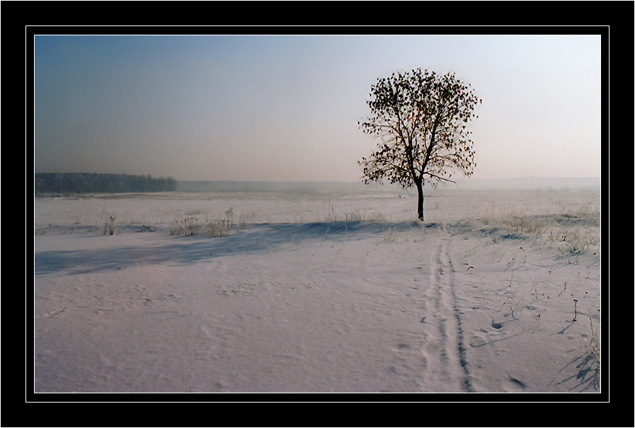 Я ЗИМУ ЛЮБЛЮ #13# (Утро).