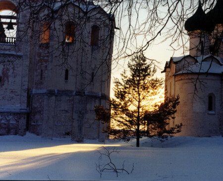 Елочка