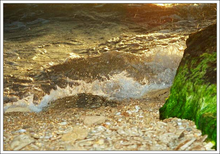 Золотое Море