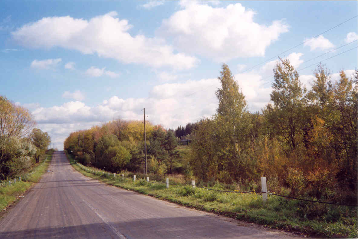 Осенняя дорога