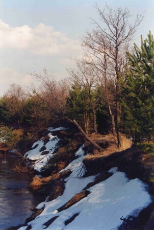 Последний снег