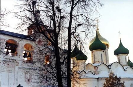 Гнезда