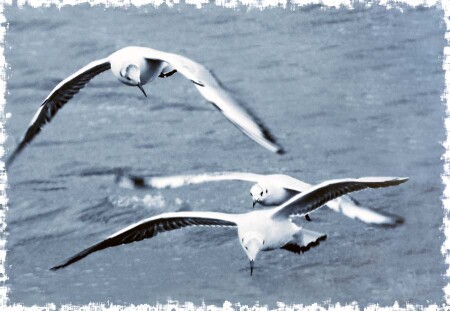 Что там такое...