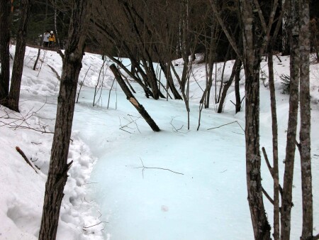 Застывший ручеёк