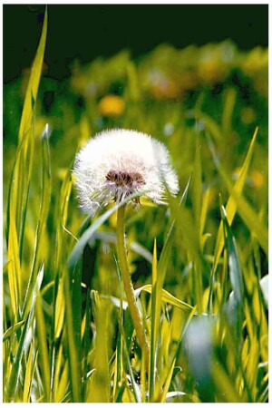 Один ,совсем один