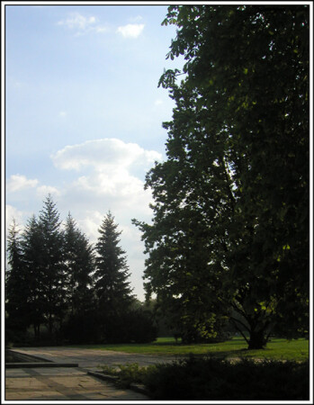 Этюд с деревьями