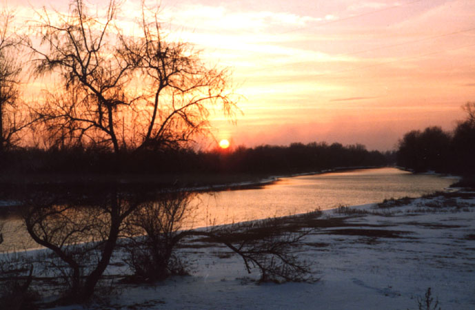 Золотая река