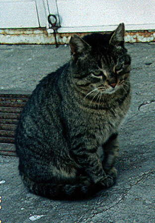 Мысли замучили