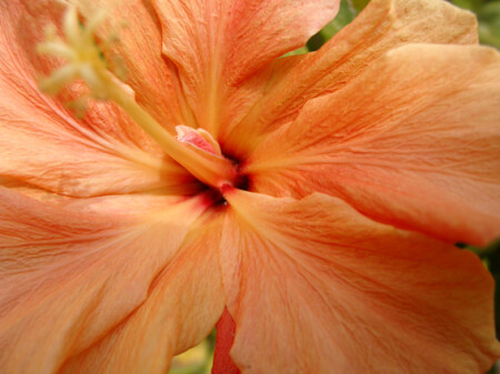 Нежный,мягкий