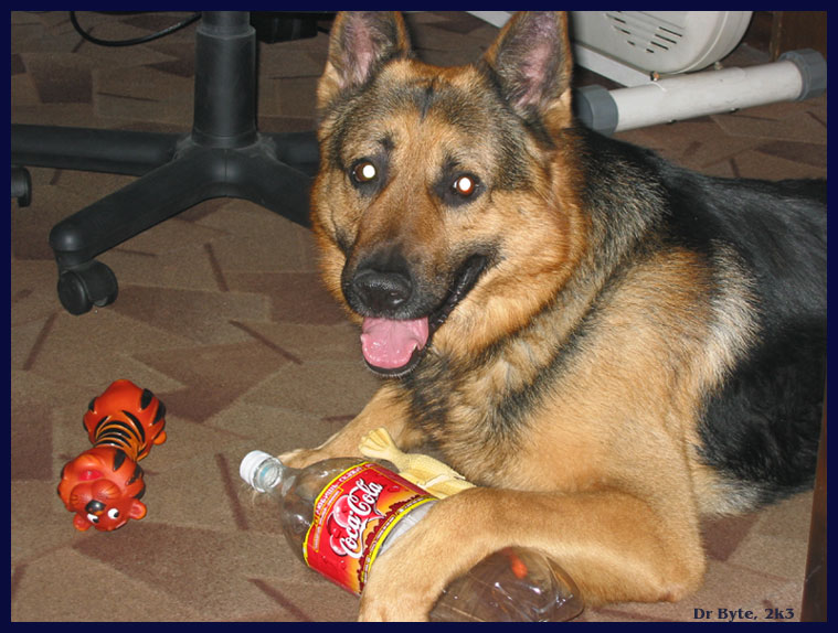 Coca-cola 4ever
