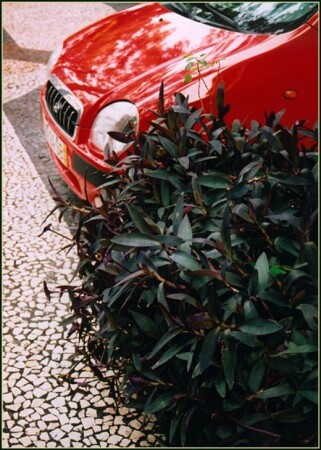 Красный и зеленый