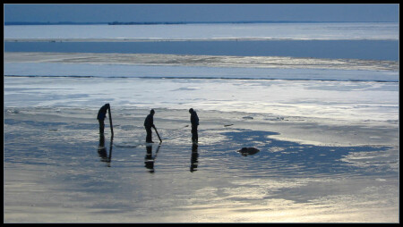 Лед вроде как тронулся