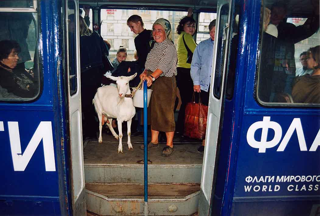 Московская коза