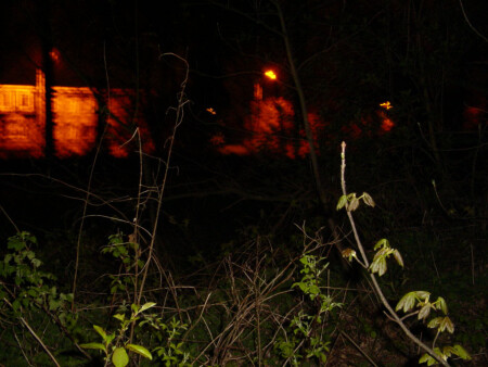 Взгляд из леса, в ночи