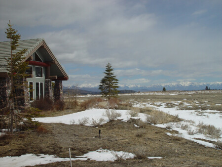 Spring in Sierra. Gloom