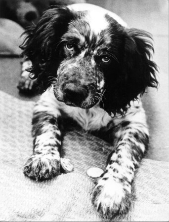 Отстань, а..!