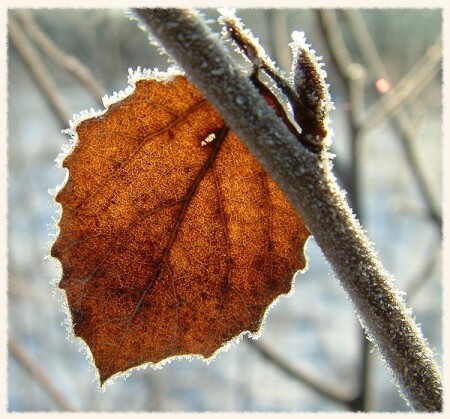 Весна и осень и зима ...