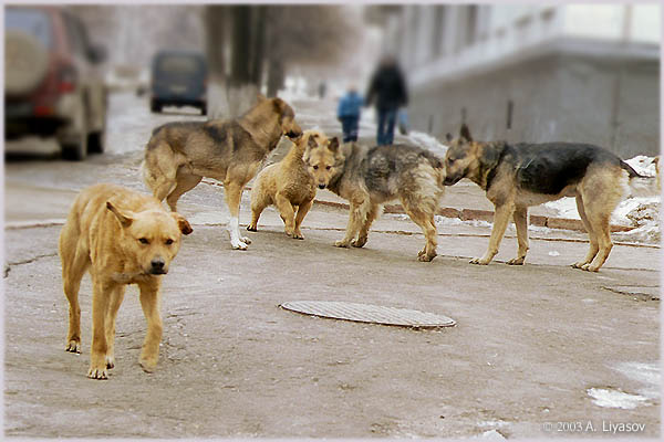 разборка с фотографом