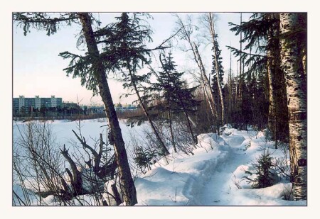 прогулки перед сном [2]