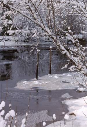 Мысли на воде