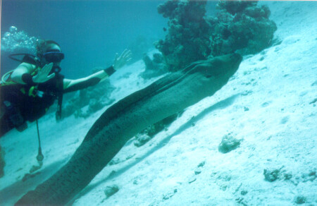 Тебя как зовут?