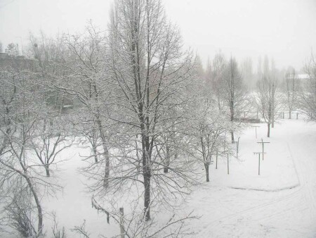 Мороз и солнце - день чудесный