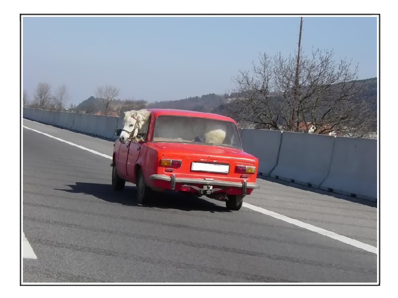 **TRANSPORTNI PRIKOL**