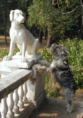 Ты чё, друг?