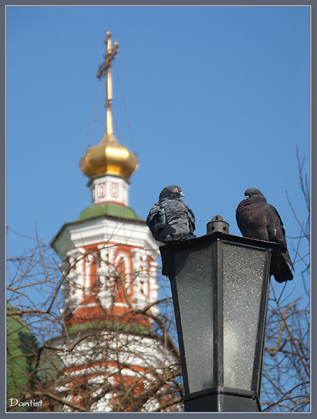 Весенний этюд