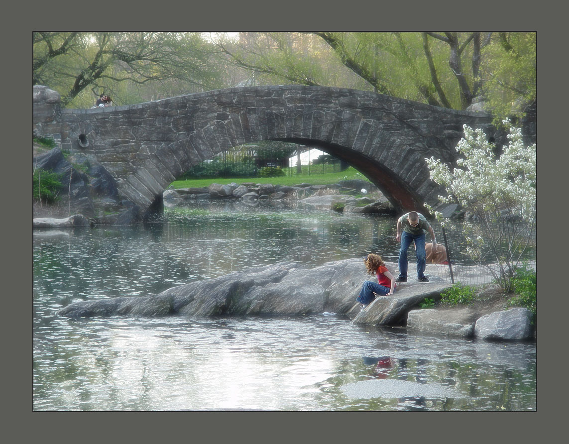 ВЕСНА (central park- New York)