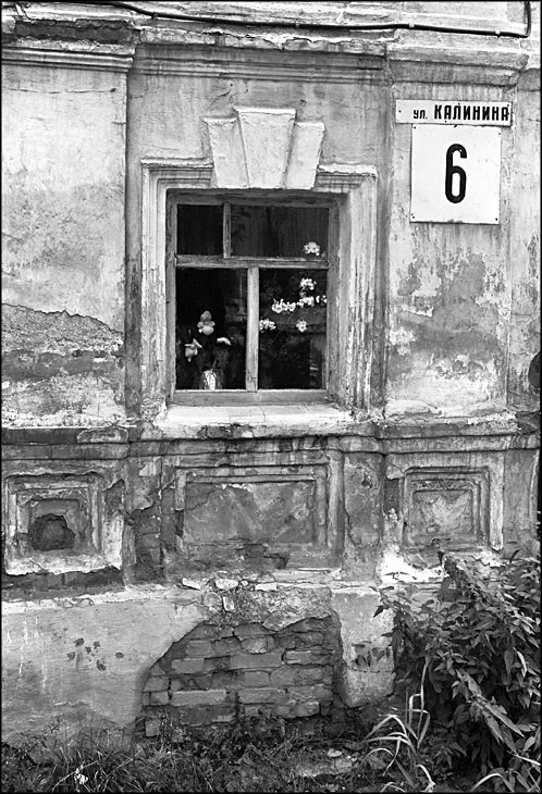 Златоуст и его обитатели. Портрет герани в окне старого дома на ул.Калинина,6.