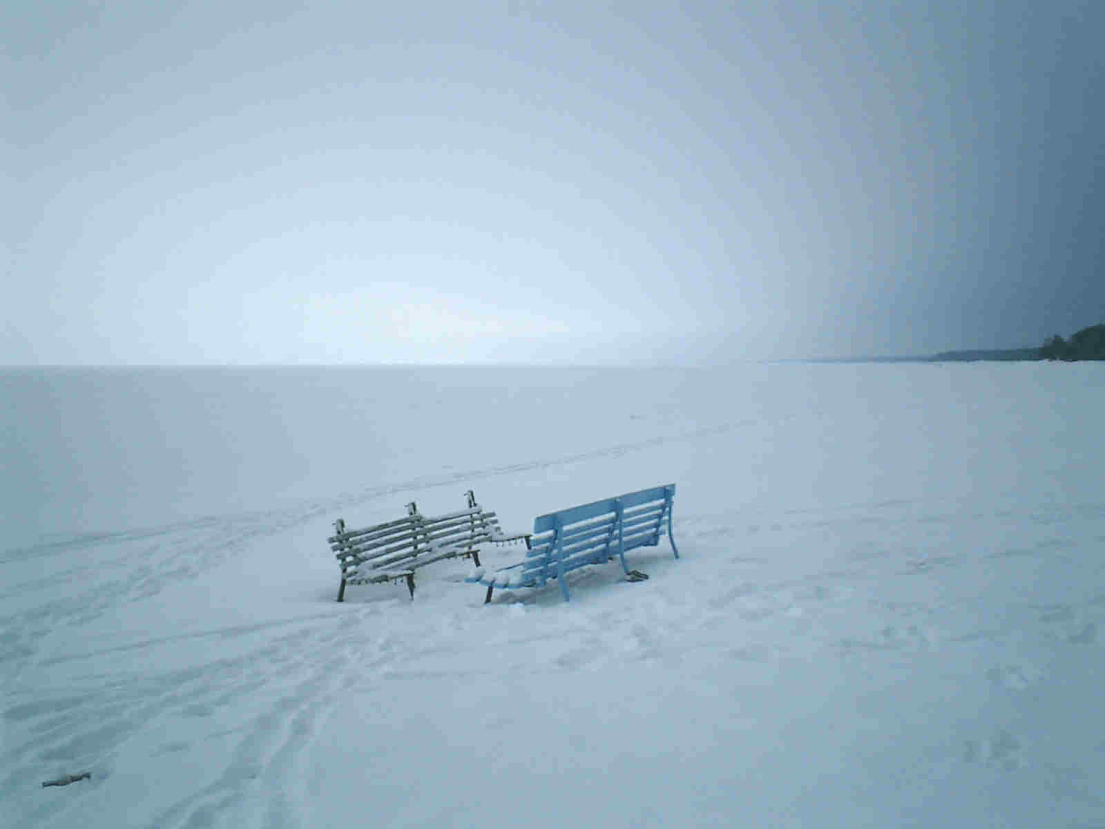 White desert
