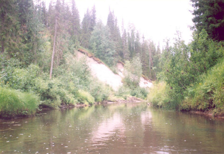 Утро в Тайге