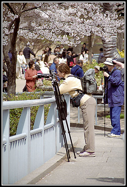 Фотолюбители