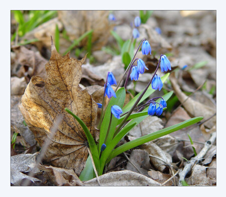 Живое и мертвое