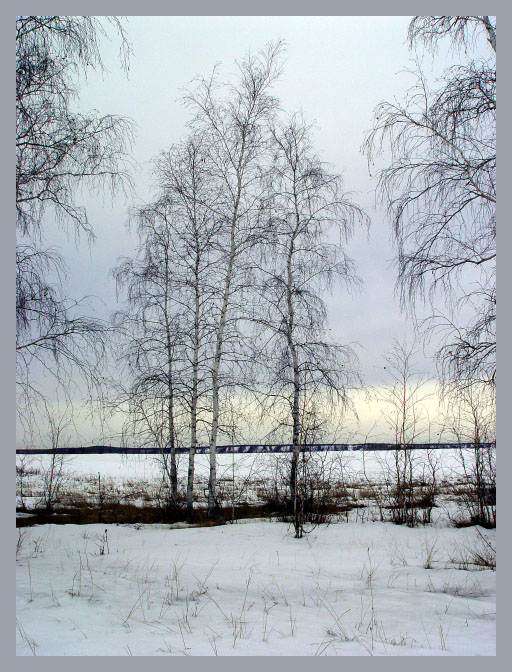 Весенняя грусть