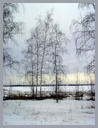 Весенняя грусть
