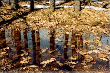 Последняя осень