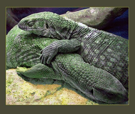 Париж Деловой