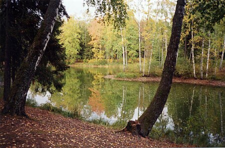 Осенняя сказка