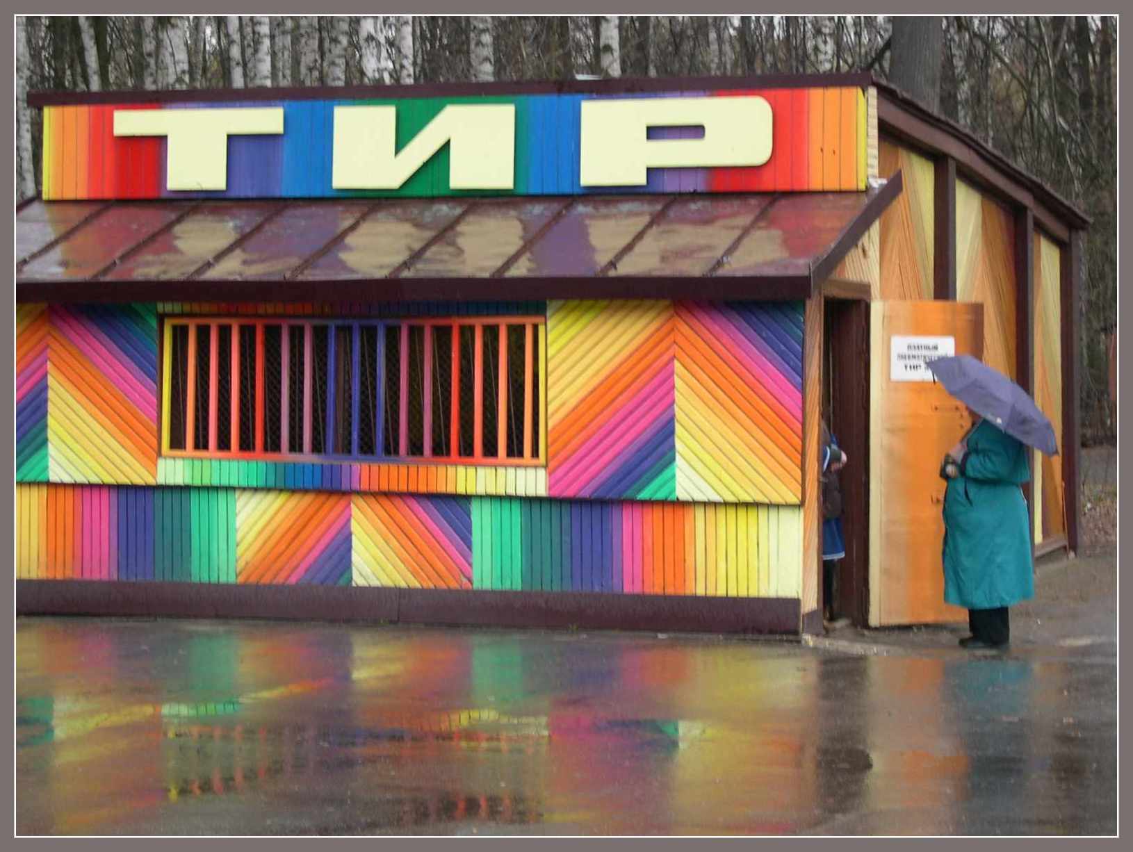 Тир под дождем
