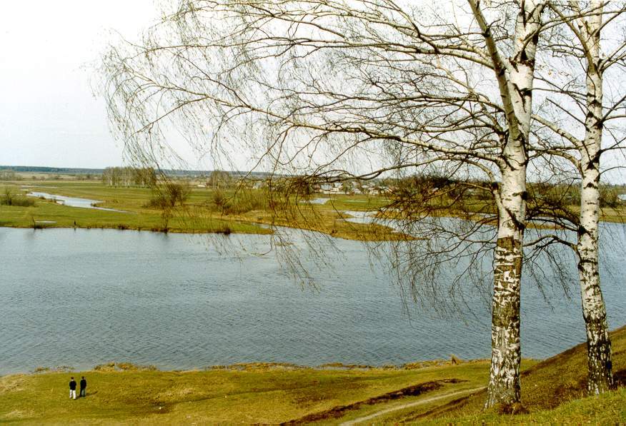 река Теза