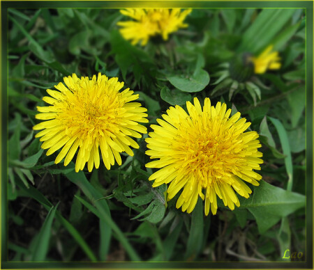 Весенние краски