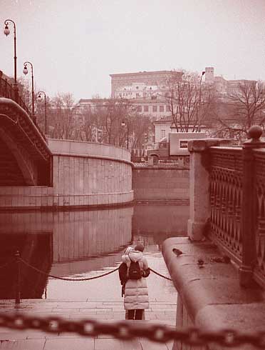 Март.Воробушки.